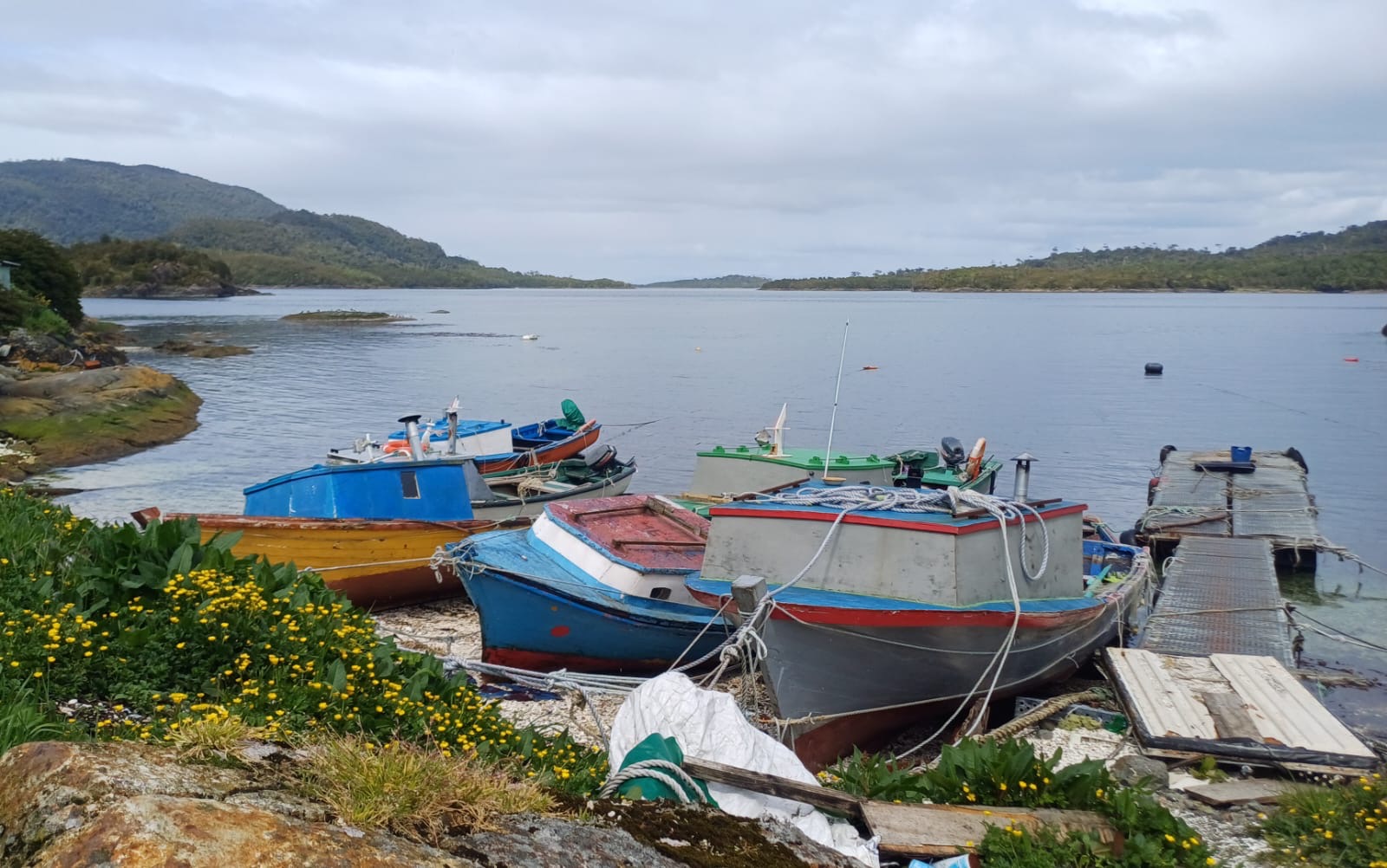 Imagen de proyecto 1